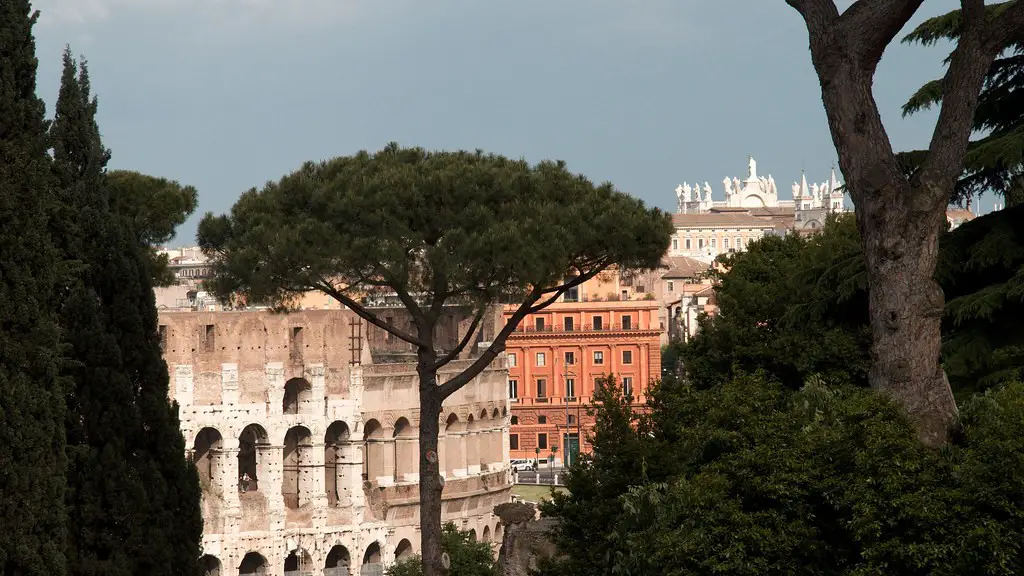 Who Would Eat Elderberry Pie In Ancient Rome